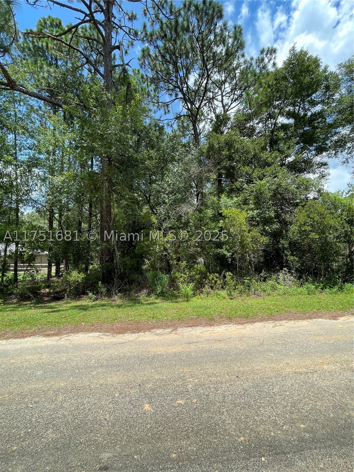 Tbd Sw 59th Ln Property Photo 5