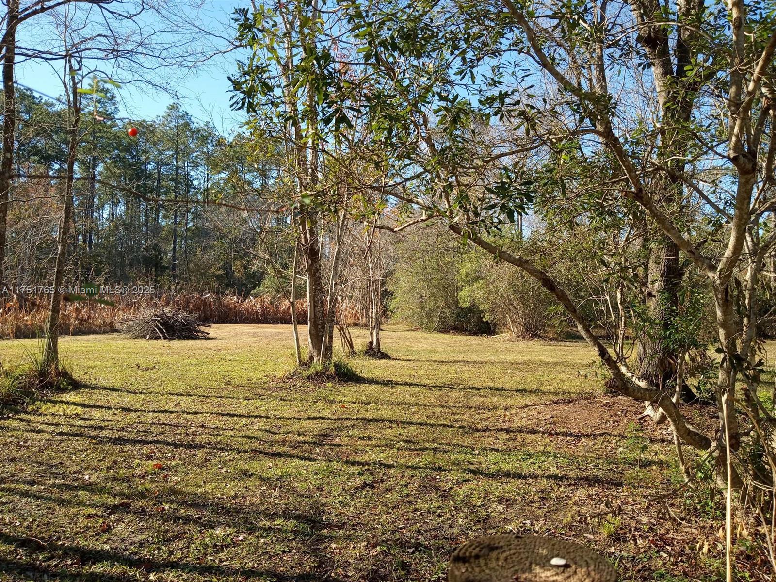 4225 Susan St Property Photo 5