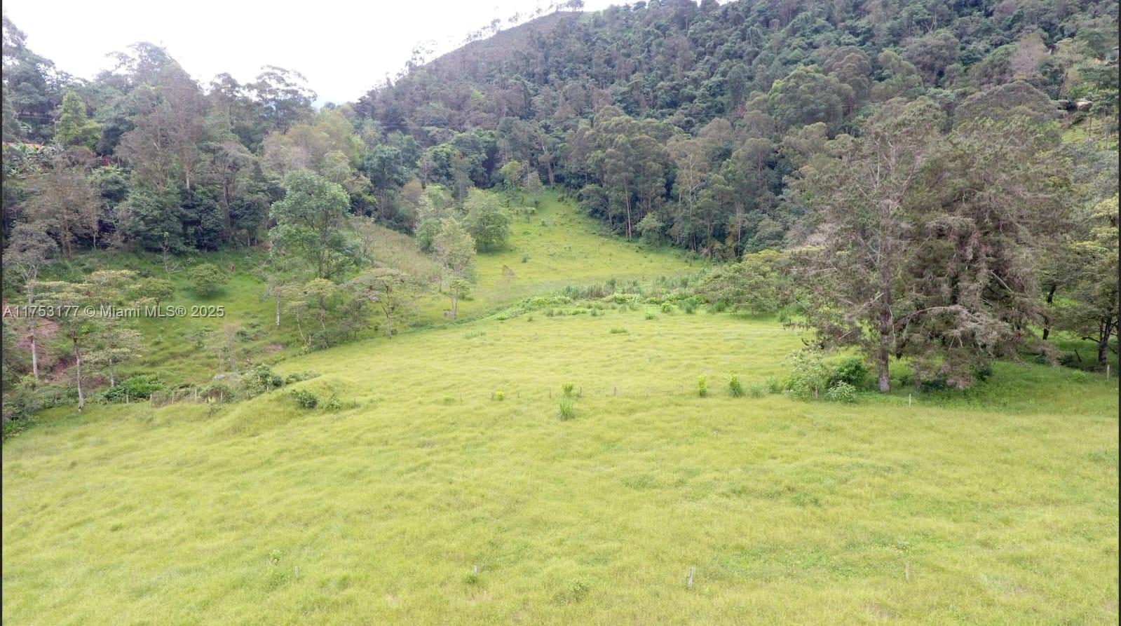 Land Vereda El Peñon San Francisco, Cundinamarca Property Photo