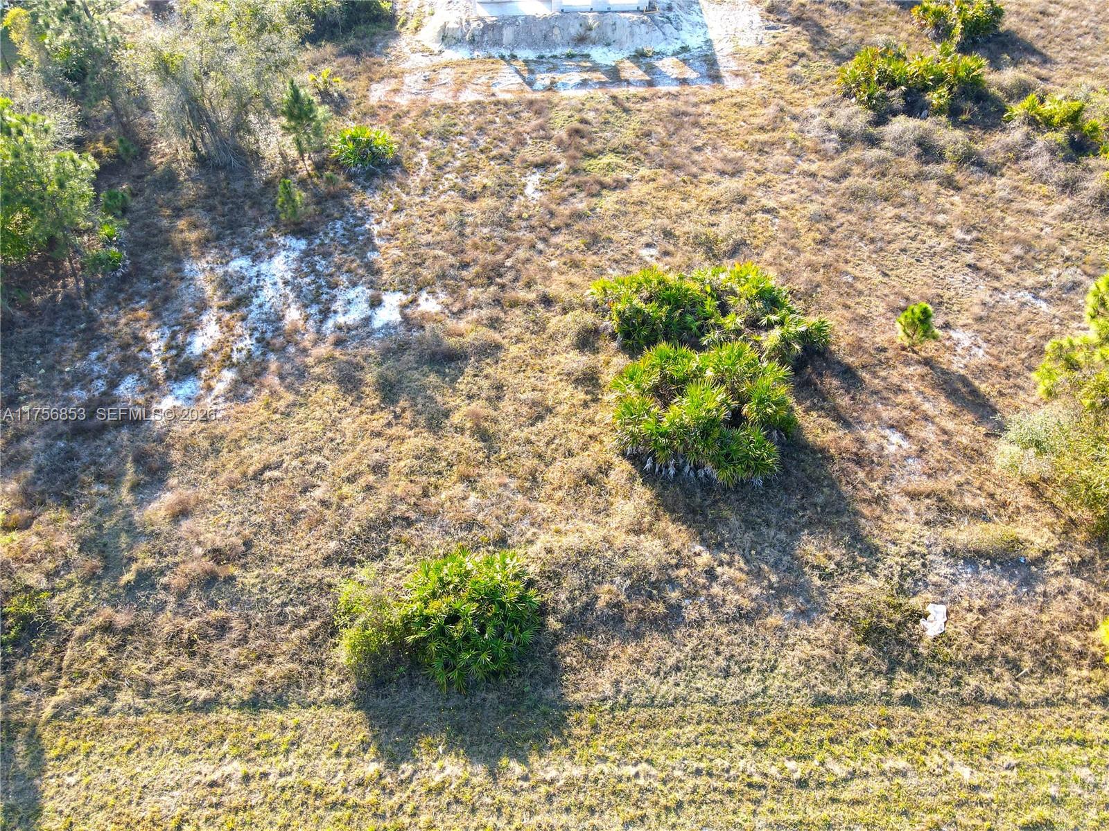 1038 Bassinger Property Photo 4
