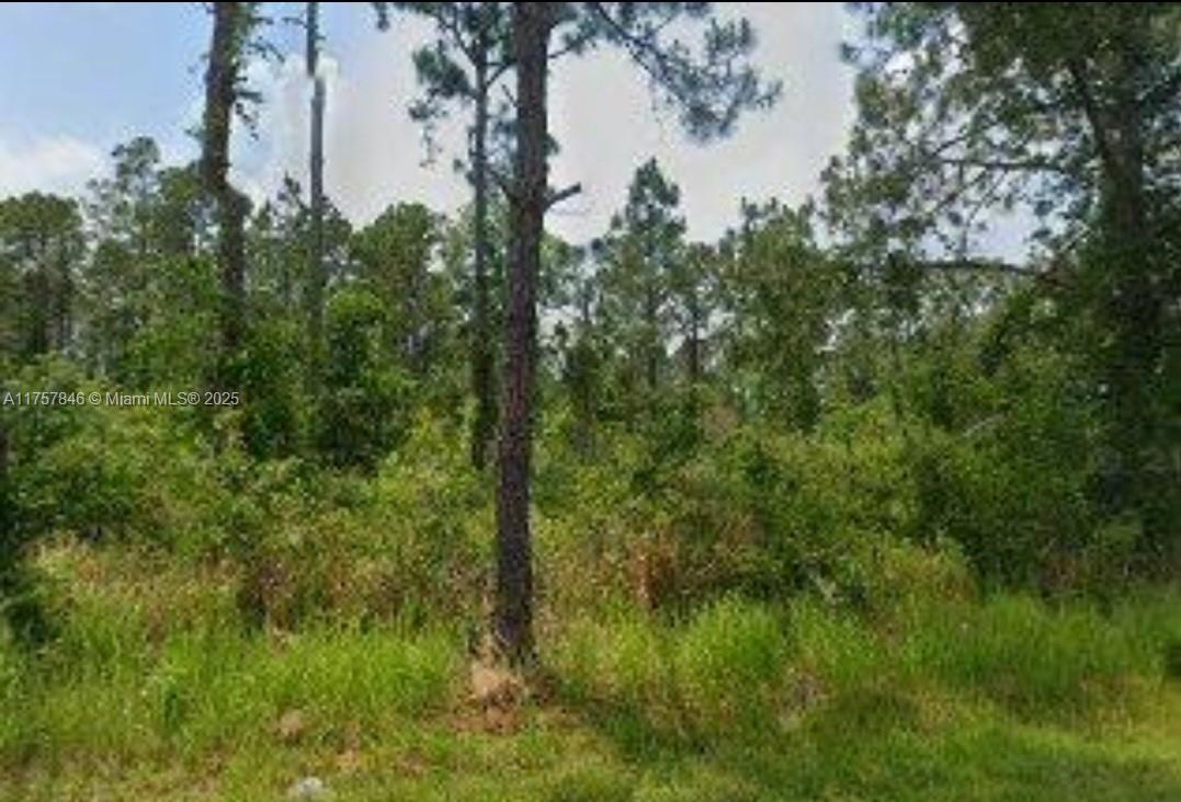 5115 Levante Dr. Property Photo 1