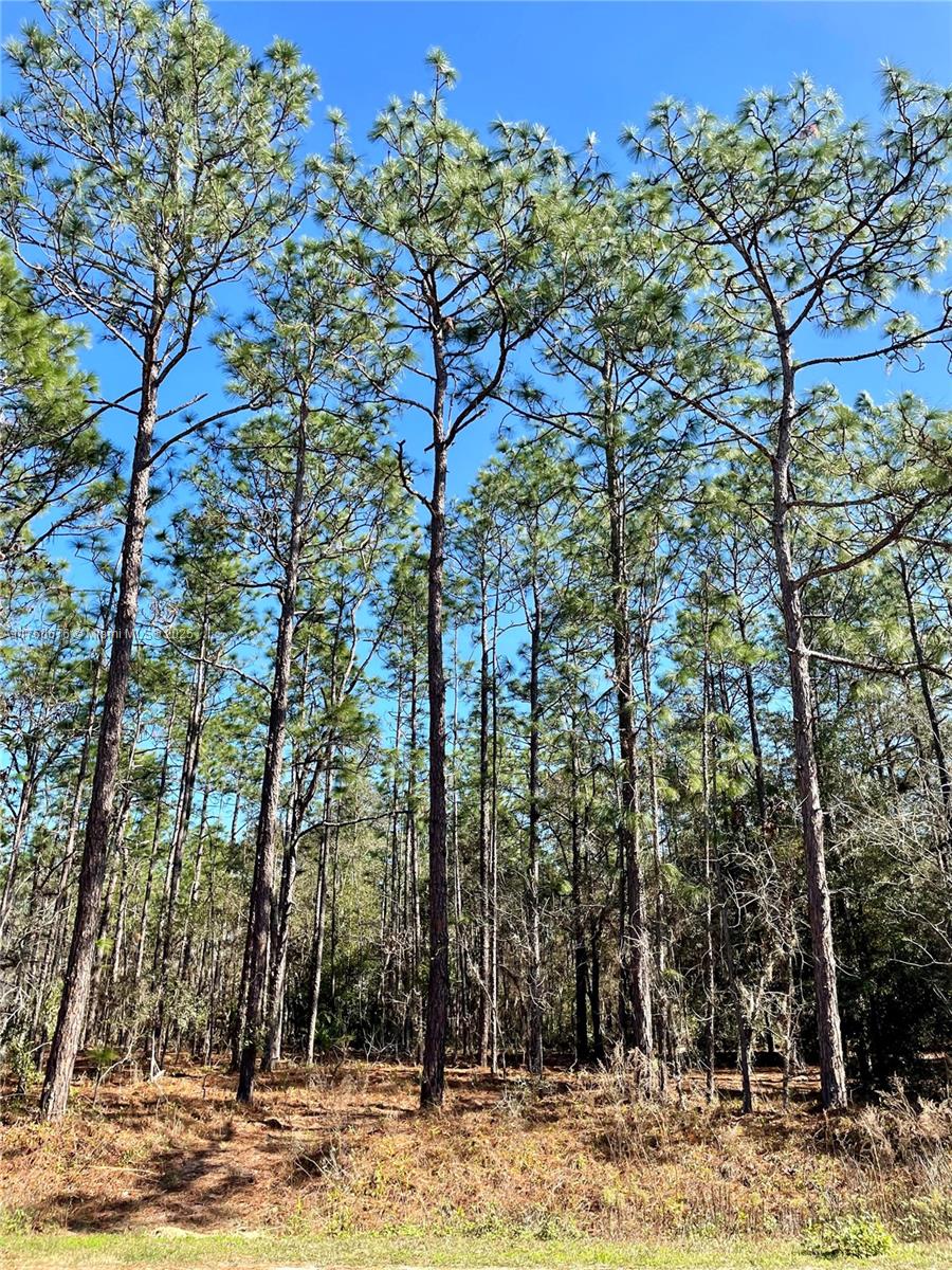 Lot 10 Sw 135 Terr Property Photo