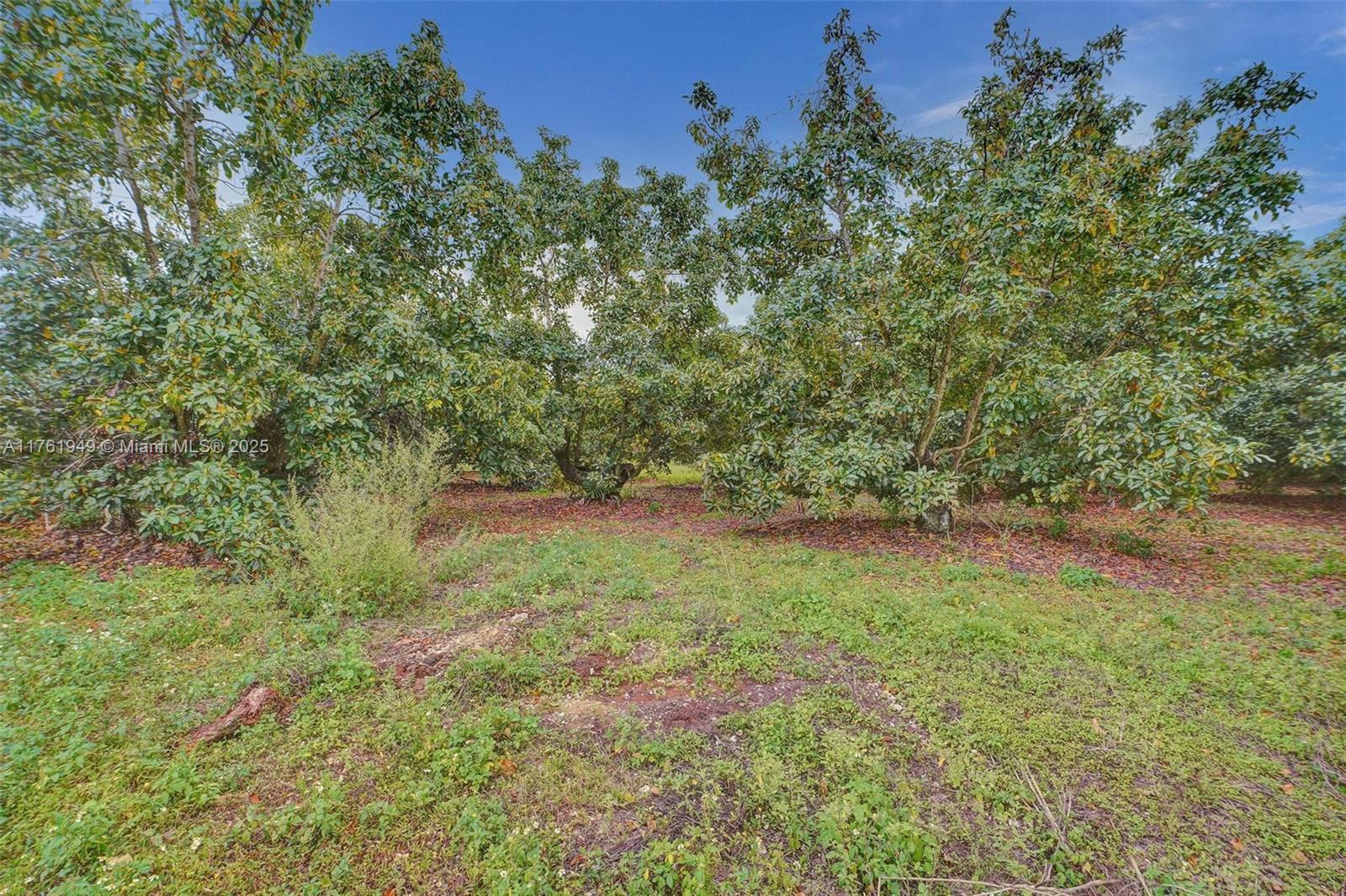 23440 Sw 159th Ave Property Photo 44