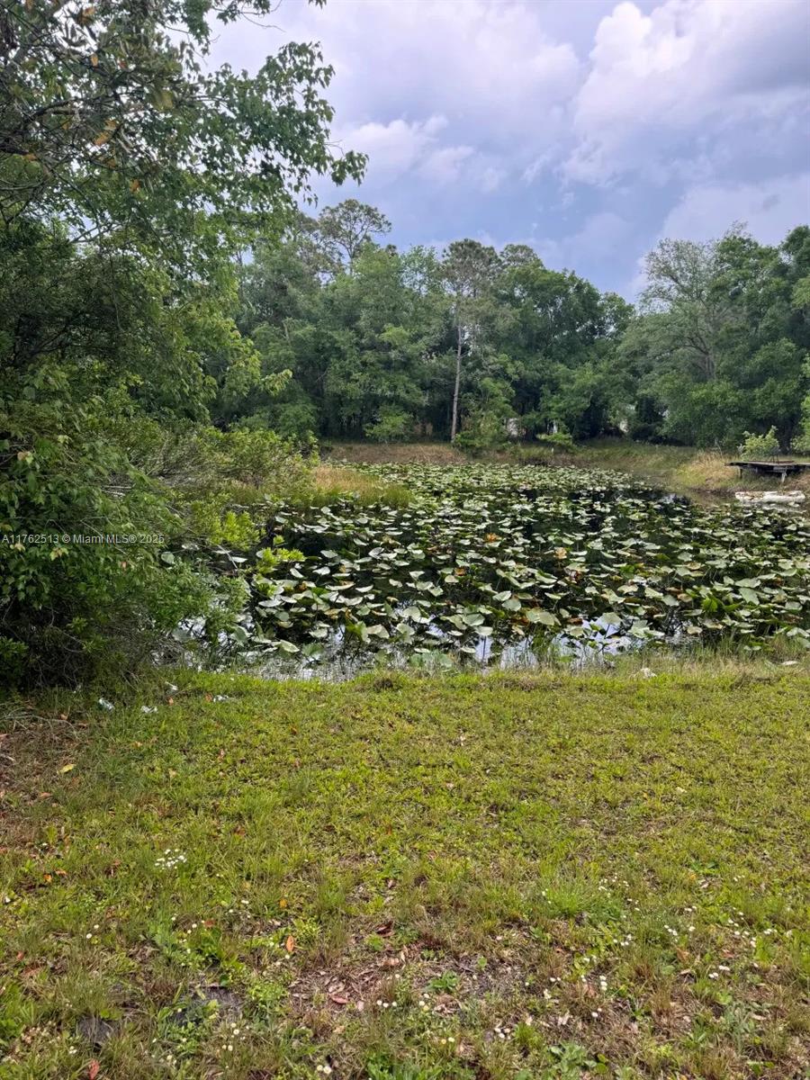 A11762513 Property Photo