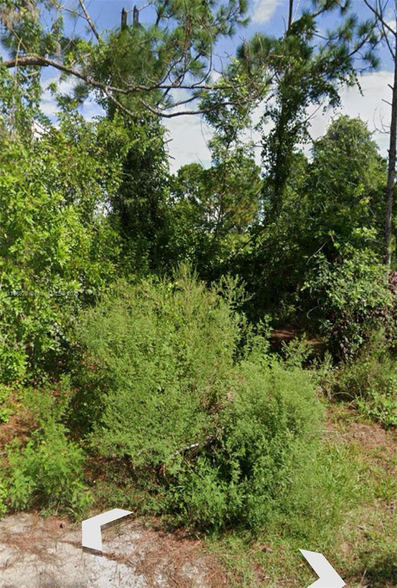 14 Americana Ave Property Photo 4