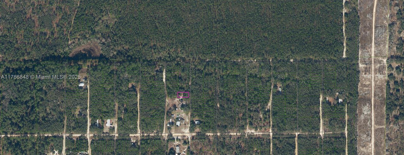 221 Palm Trl Property Photo