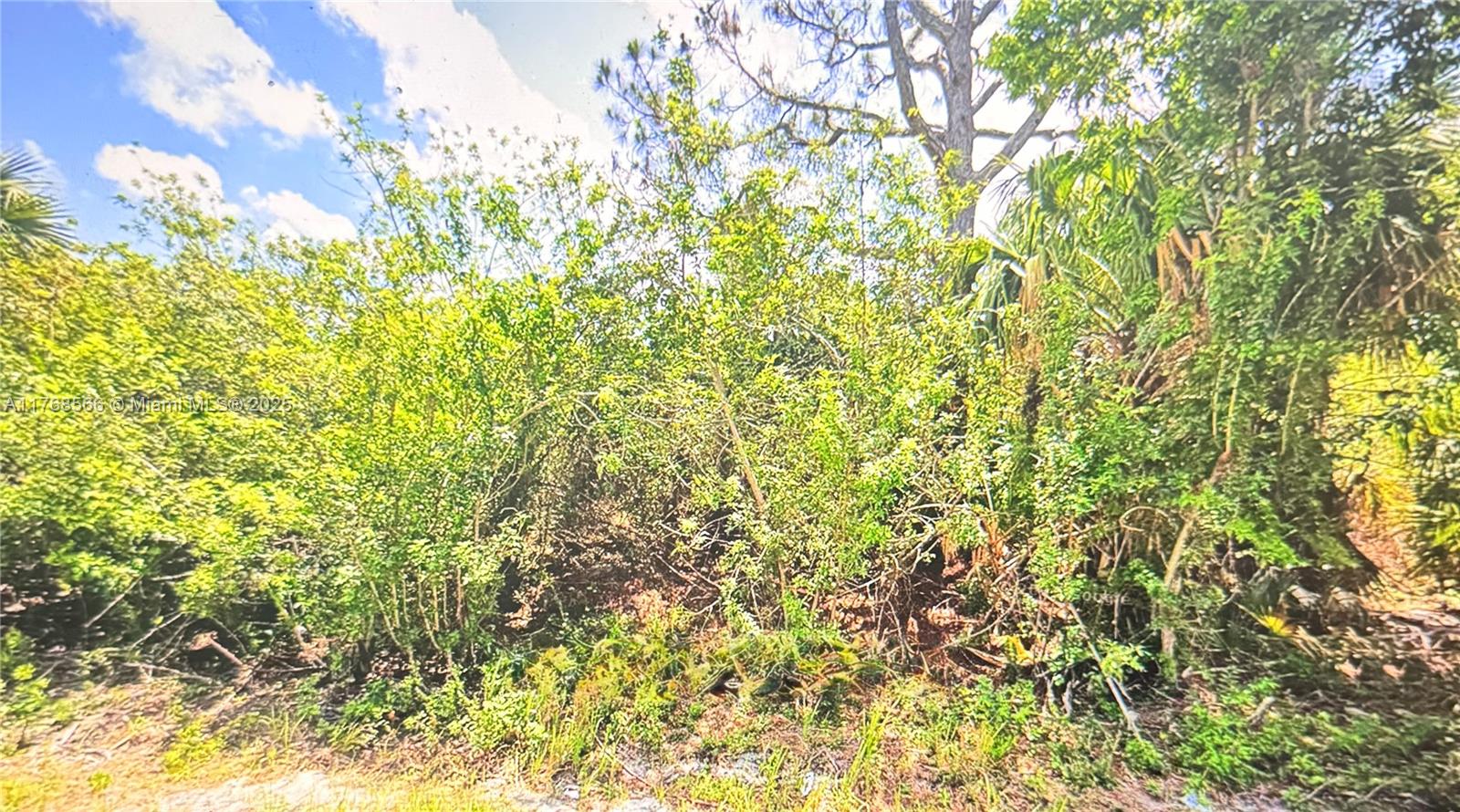 A11768566 Property Photo