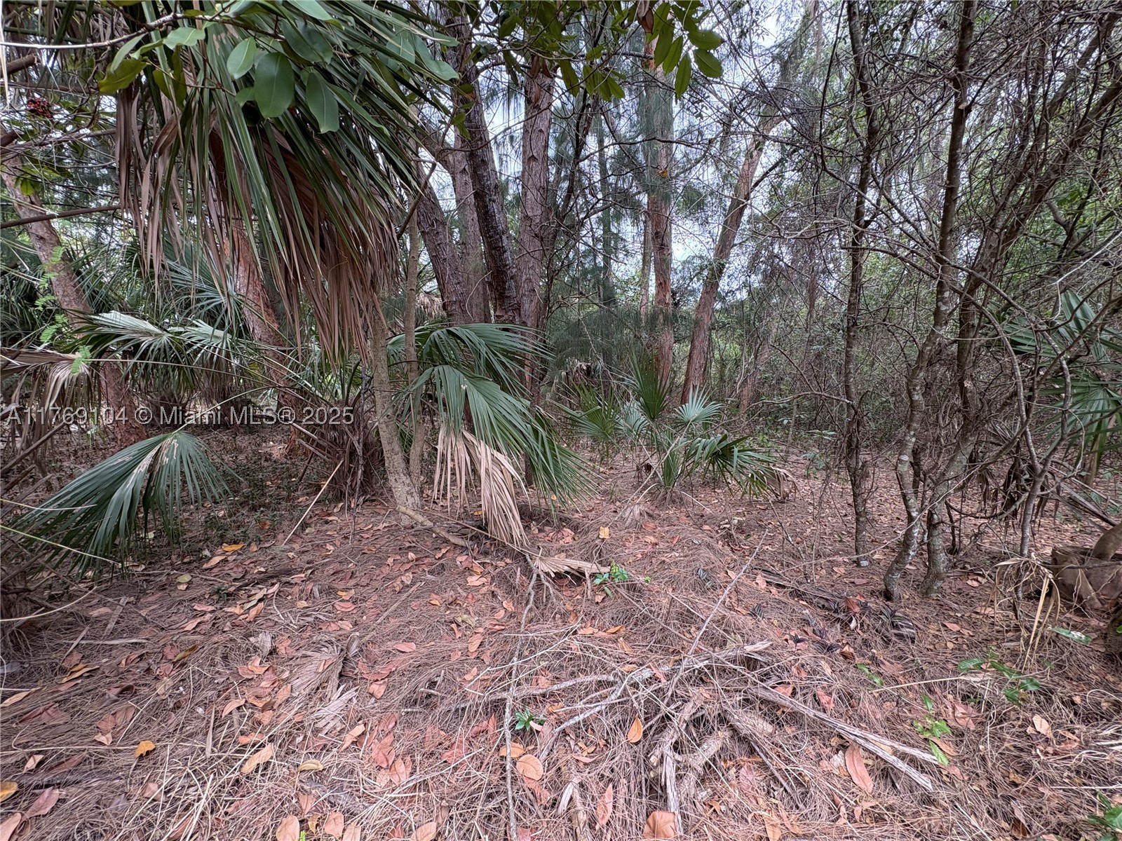30xx Forest Hills Dr Property Photo 6