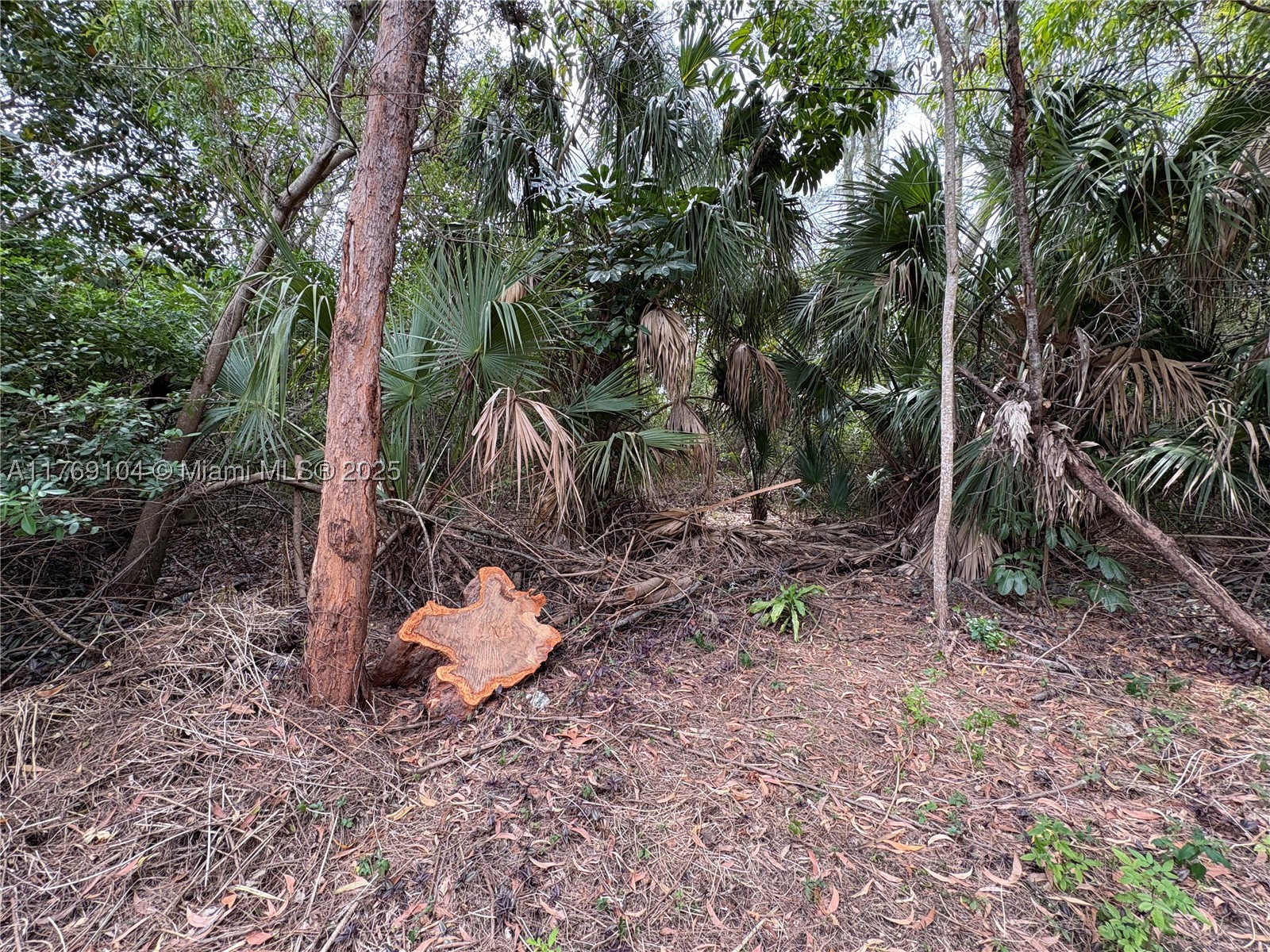 30xx Forest Hills Dr Property Photo 7