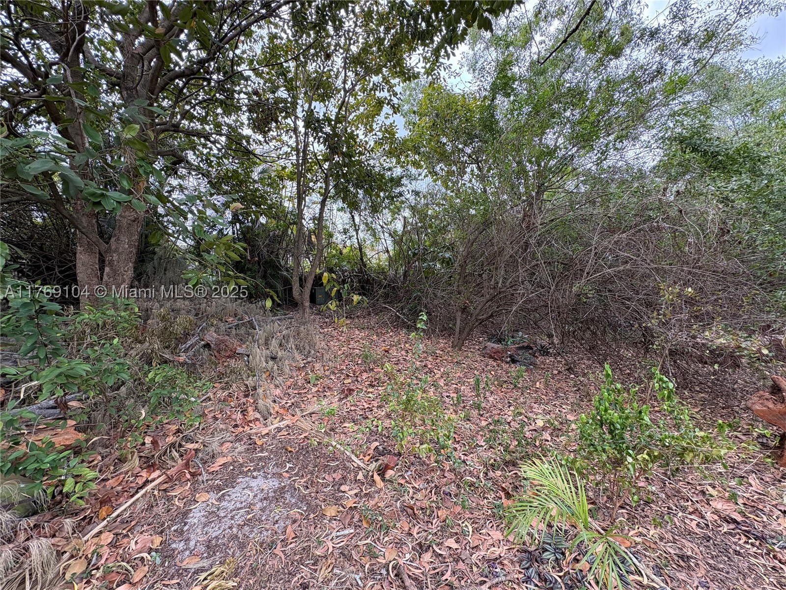 30xx Forest Hills Dr Property Photo 10