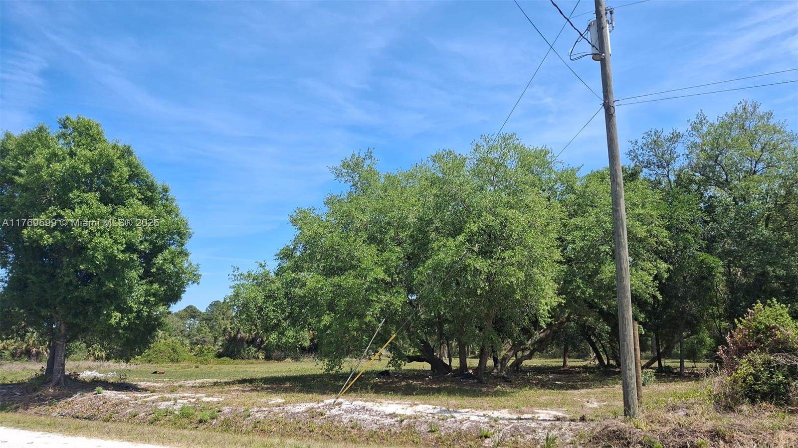 225 Olivo St Property Photo
