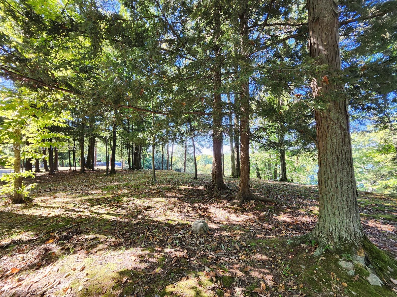 18443 Otter Point Road Property Photo 3