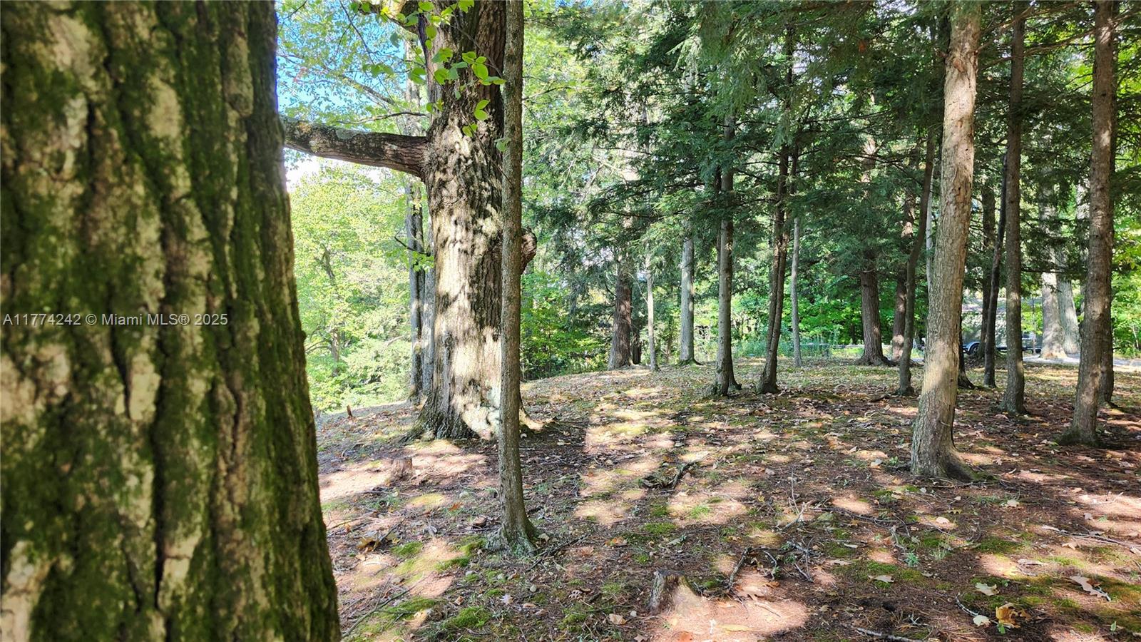 18443 Otter Point Road Property Photo 22