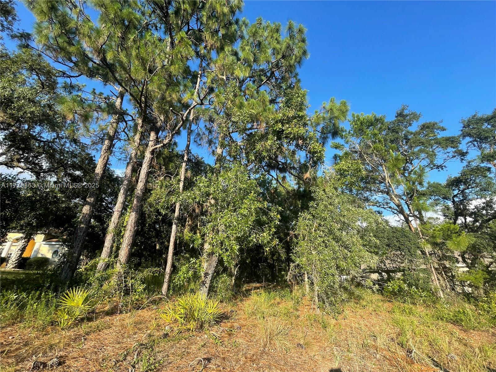 Homosassa Springs Real Estate Listings Main Image