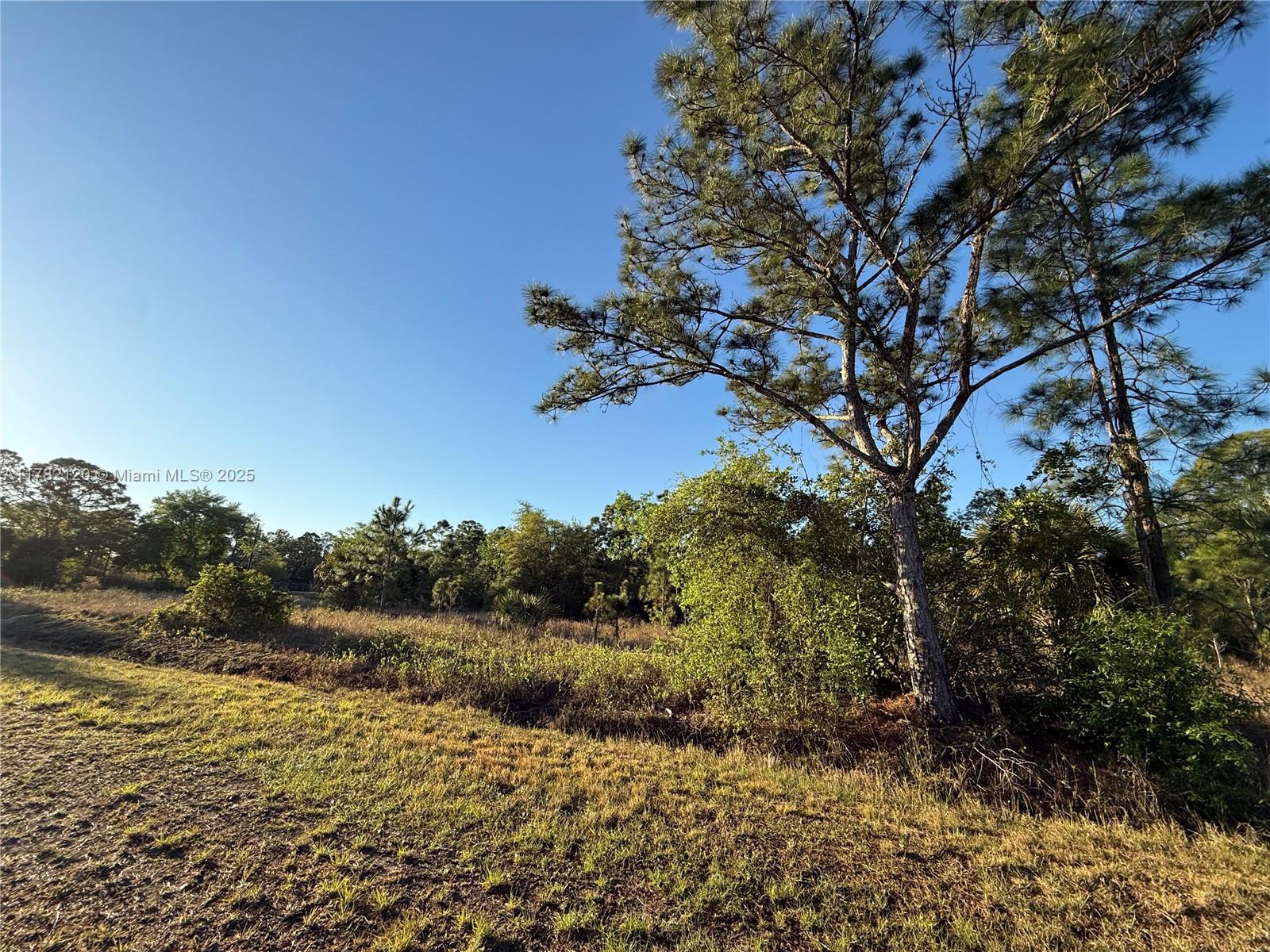 430 W Pinto Ave Property Photo 1