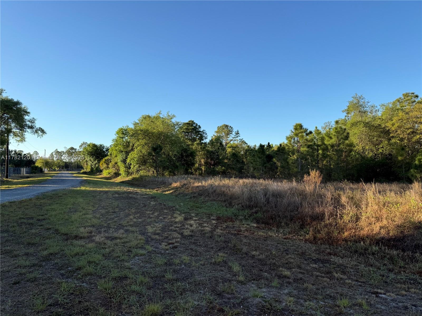 430 W Pinto Ave Property Photo 5