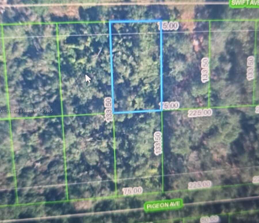 234 Swift Ave Property Photo