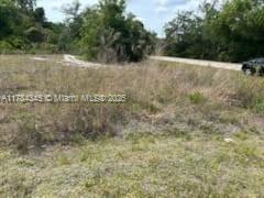 21559 Bachmann Blvd Property Photo 8