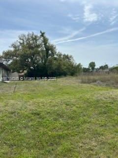 21559 Bachmann Blvd Property Photo 11