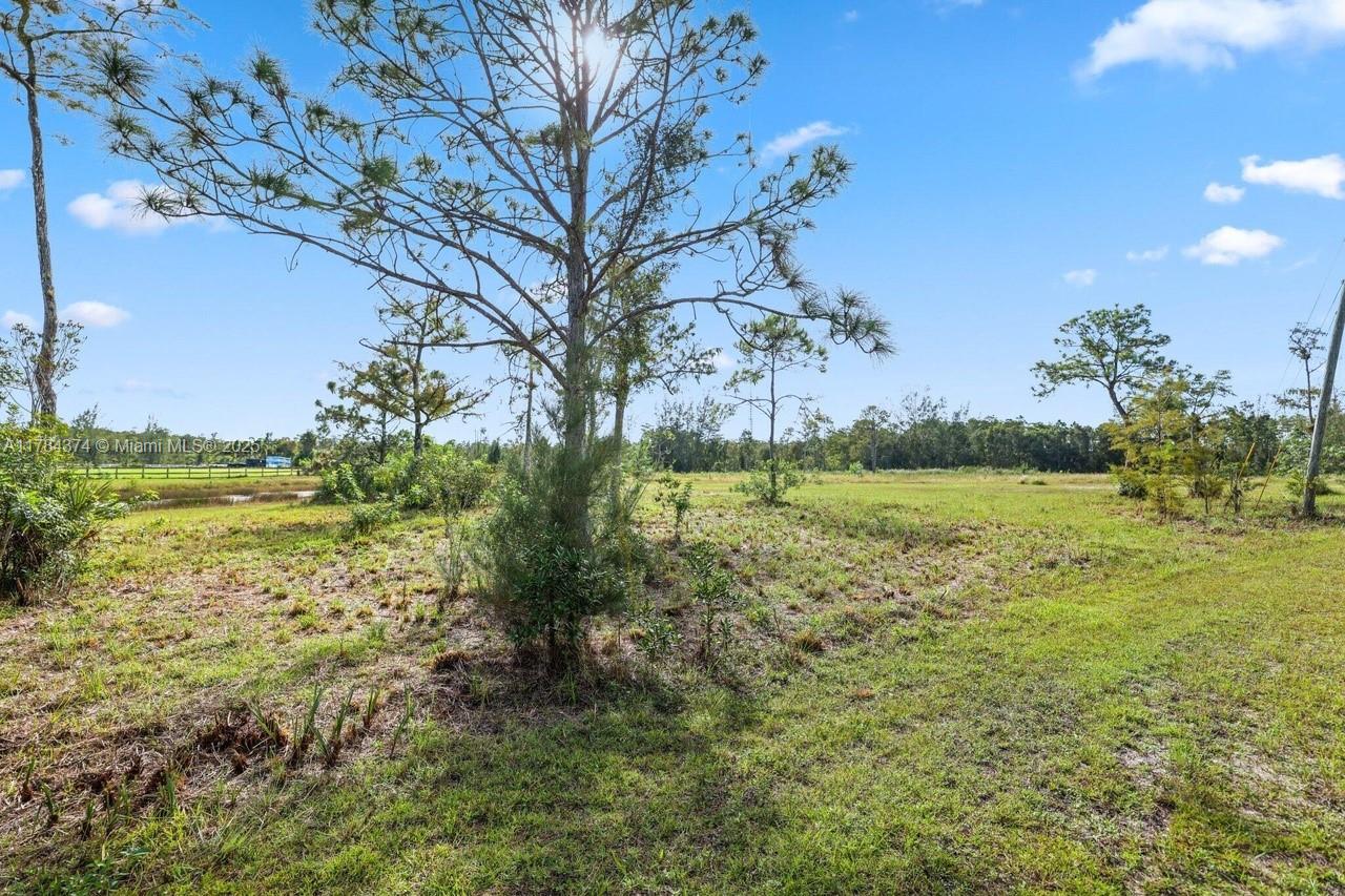 6801 Duckweed Rd Property Photo 20