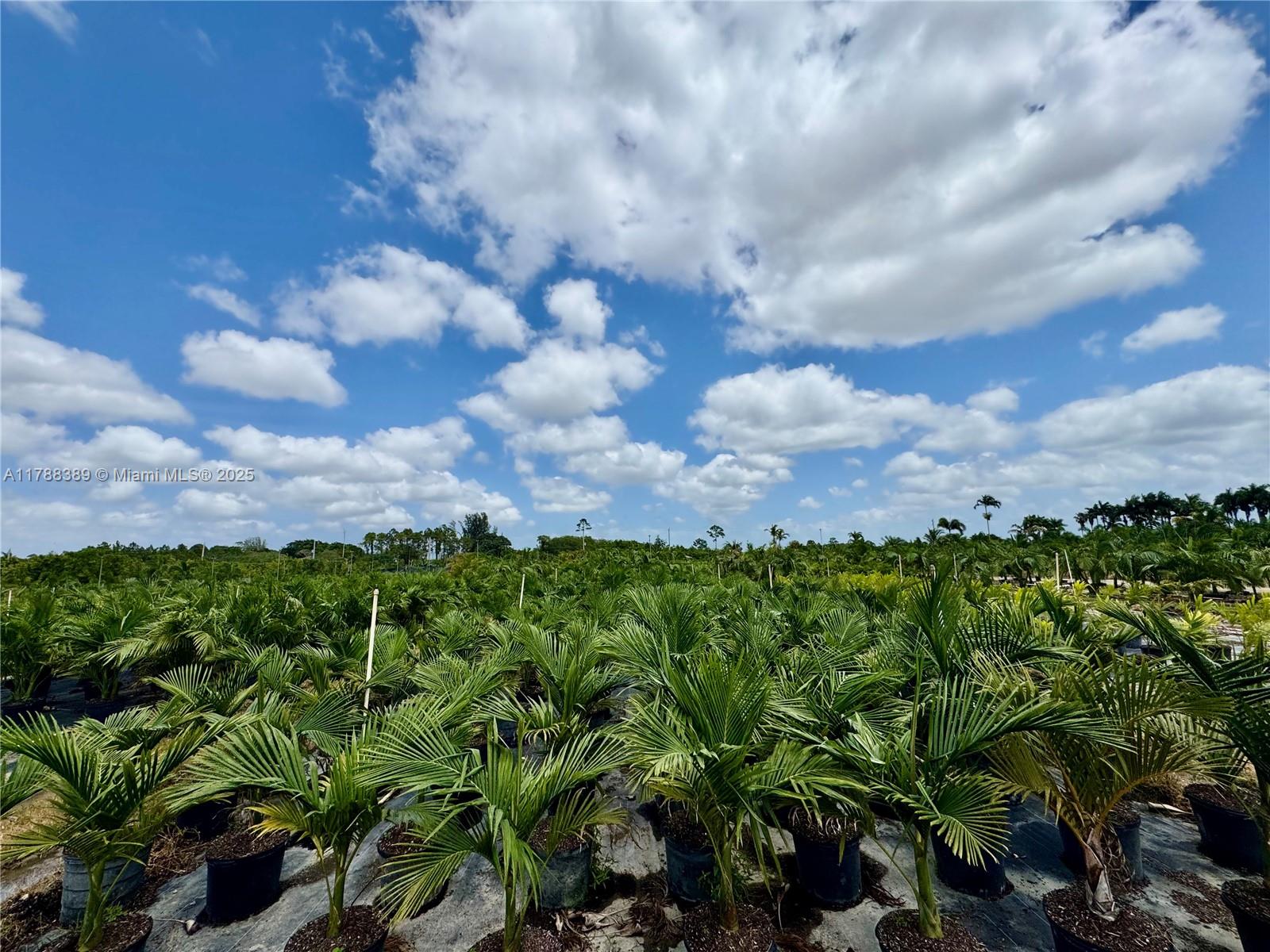 32802 Sw 202 Ave Property Photo 9