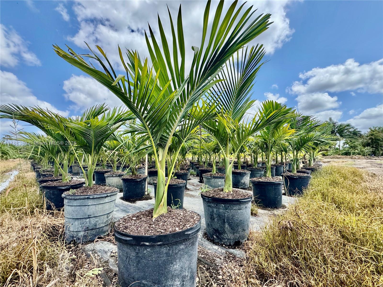 32802 Sw 202 Ave Property Photo 15