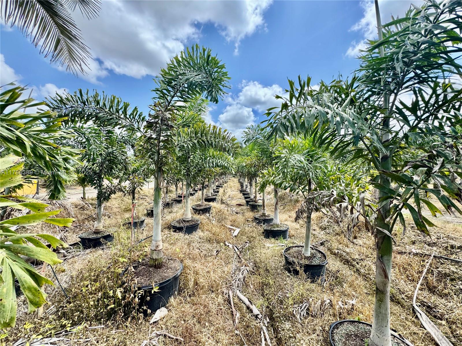 32802 Sw 202 Ave Property Photo 16