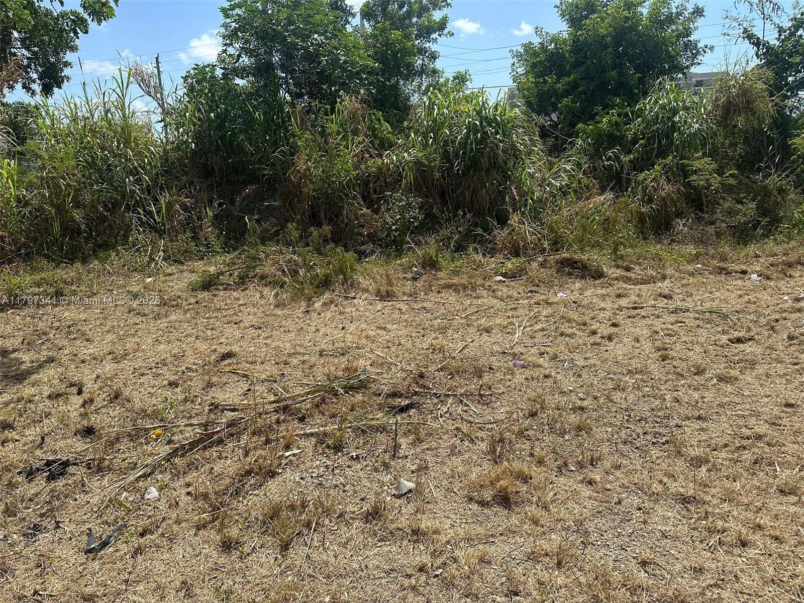 10025 W Indigo Property Photo 2