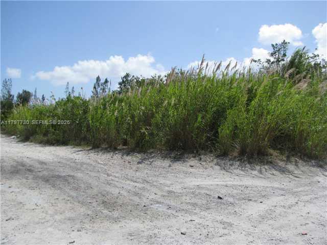 Sw 137 Ave & 360 St Property Photo 4