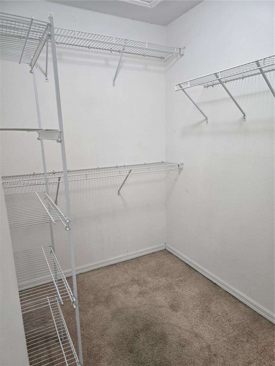 453 Dahoon Holly Dr Property Photo 33