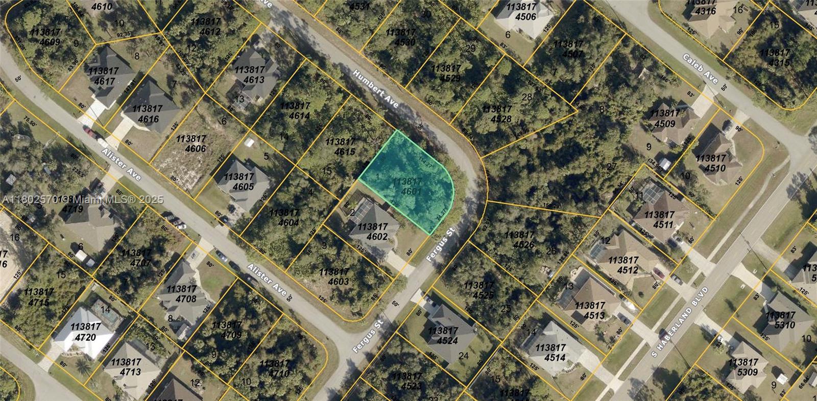 4601 Fergus St Property Photo 1