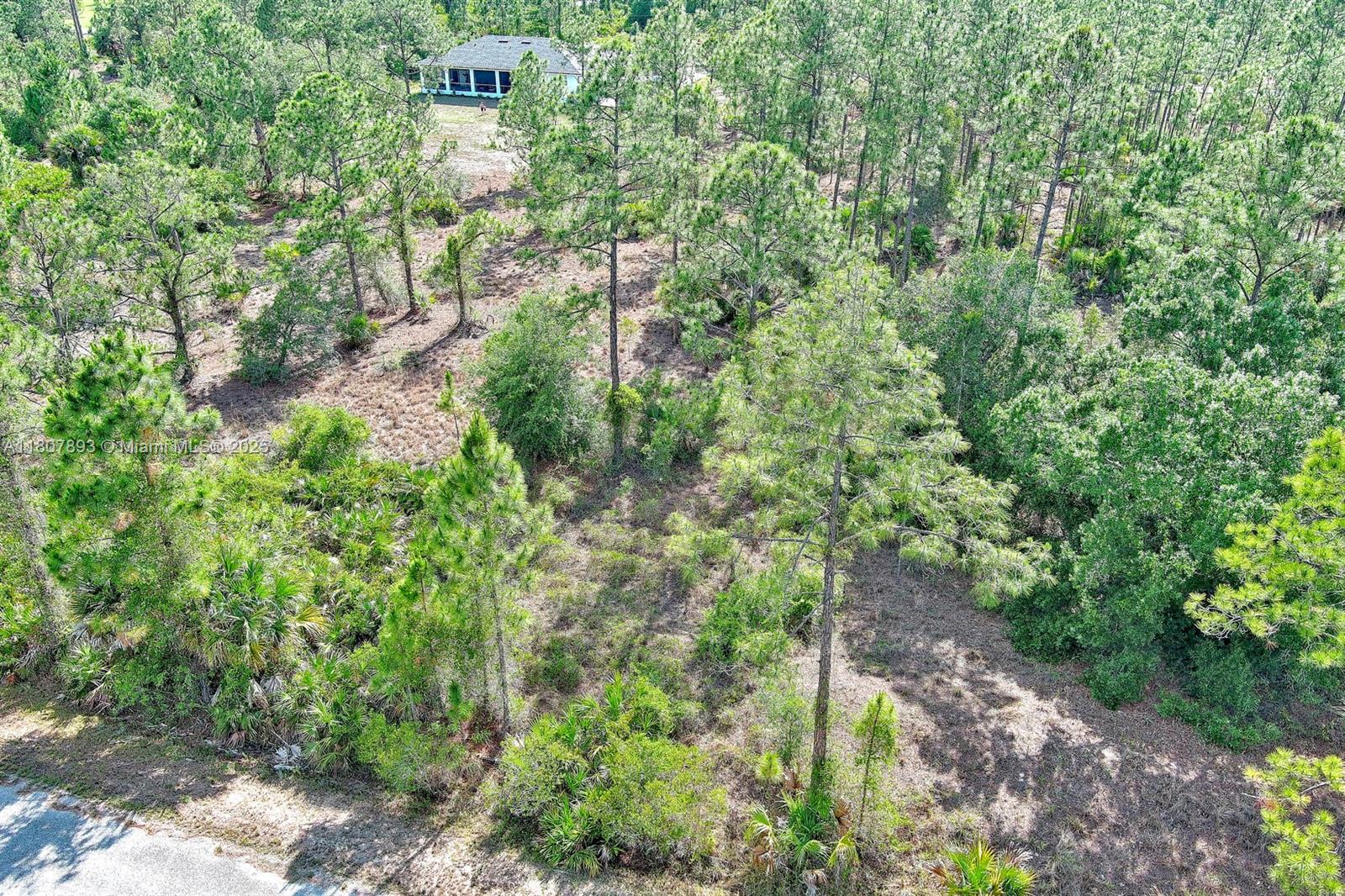317 Fitch Ave Property Photo 6
