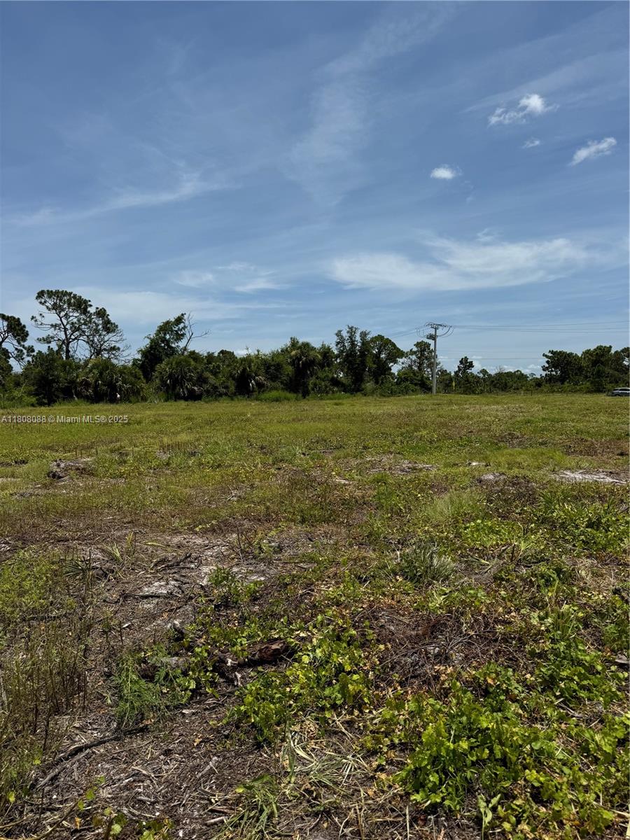 23 Rotonda Plpz Property Photo 5