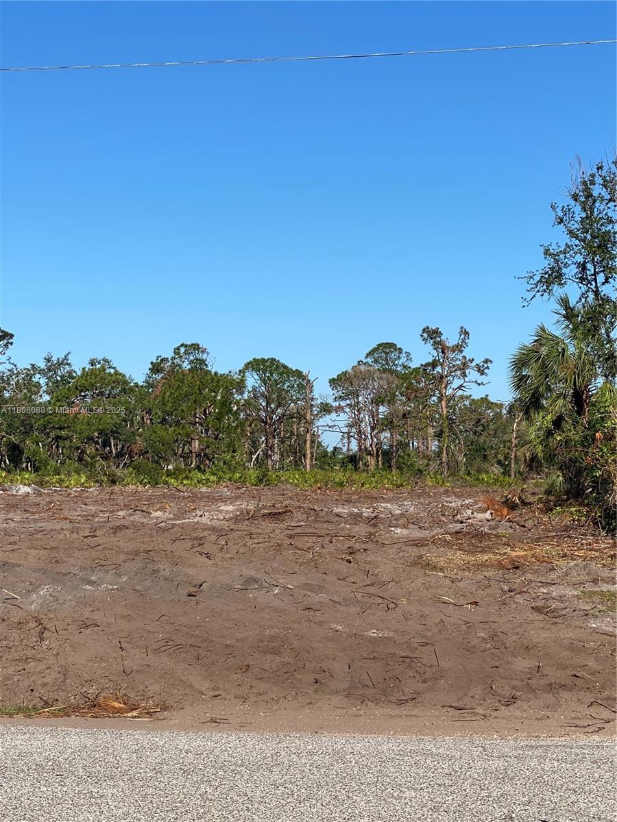 23 Rotonda Plpz Property Photo 6