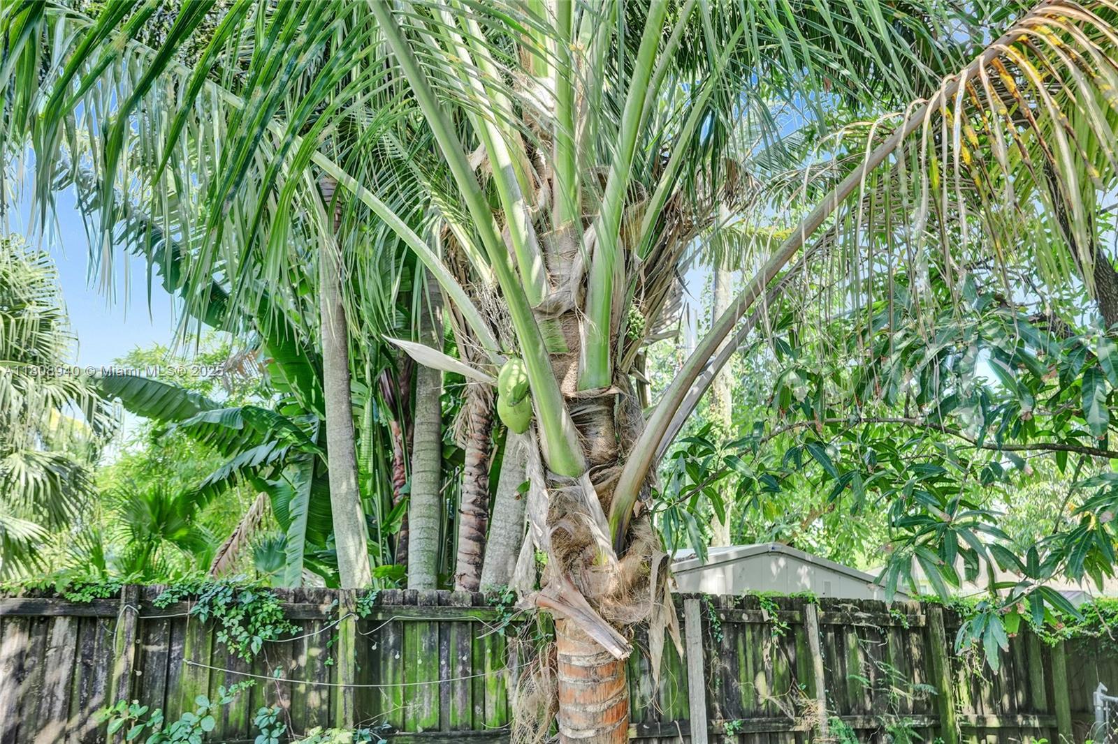 1124 Nw 16th St Property Photo 38