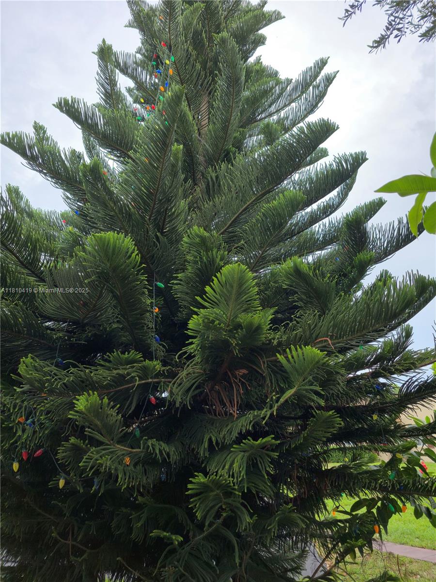 22374 Sw 57th Cir Property Photo 27