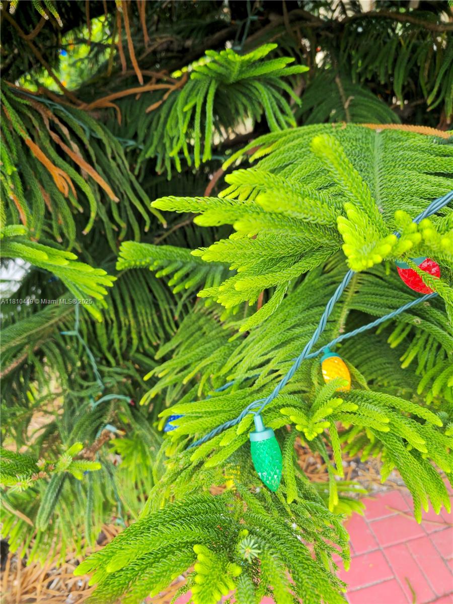 22374 Sw 57th Cir Property Photo 29