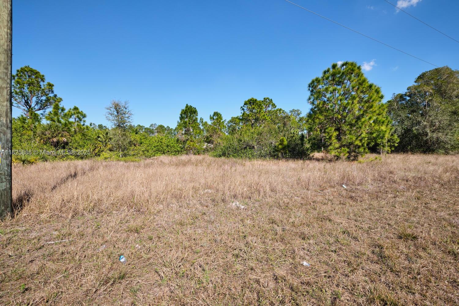 1025 E Winters Street Property Photo 7