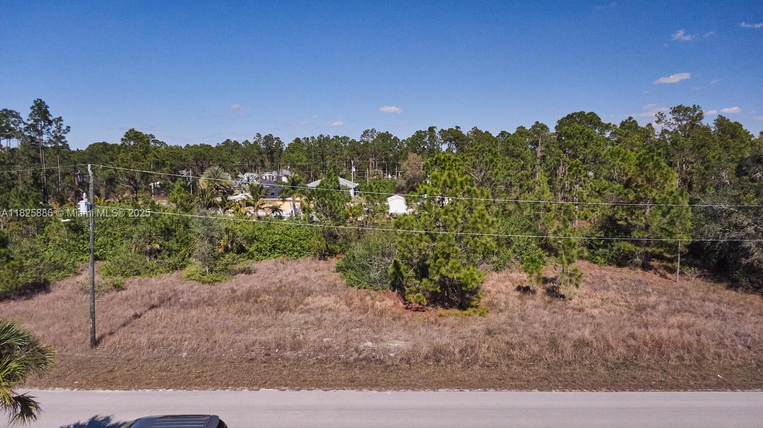 1025 E Winters Street Property Photo 8
