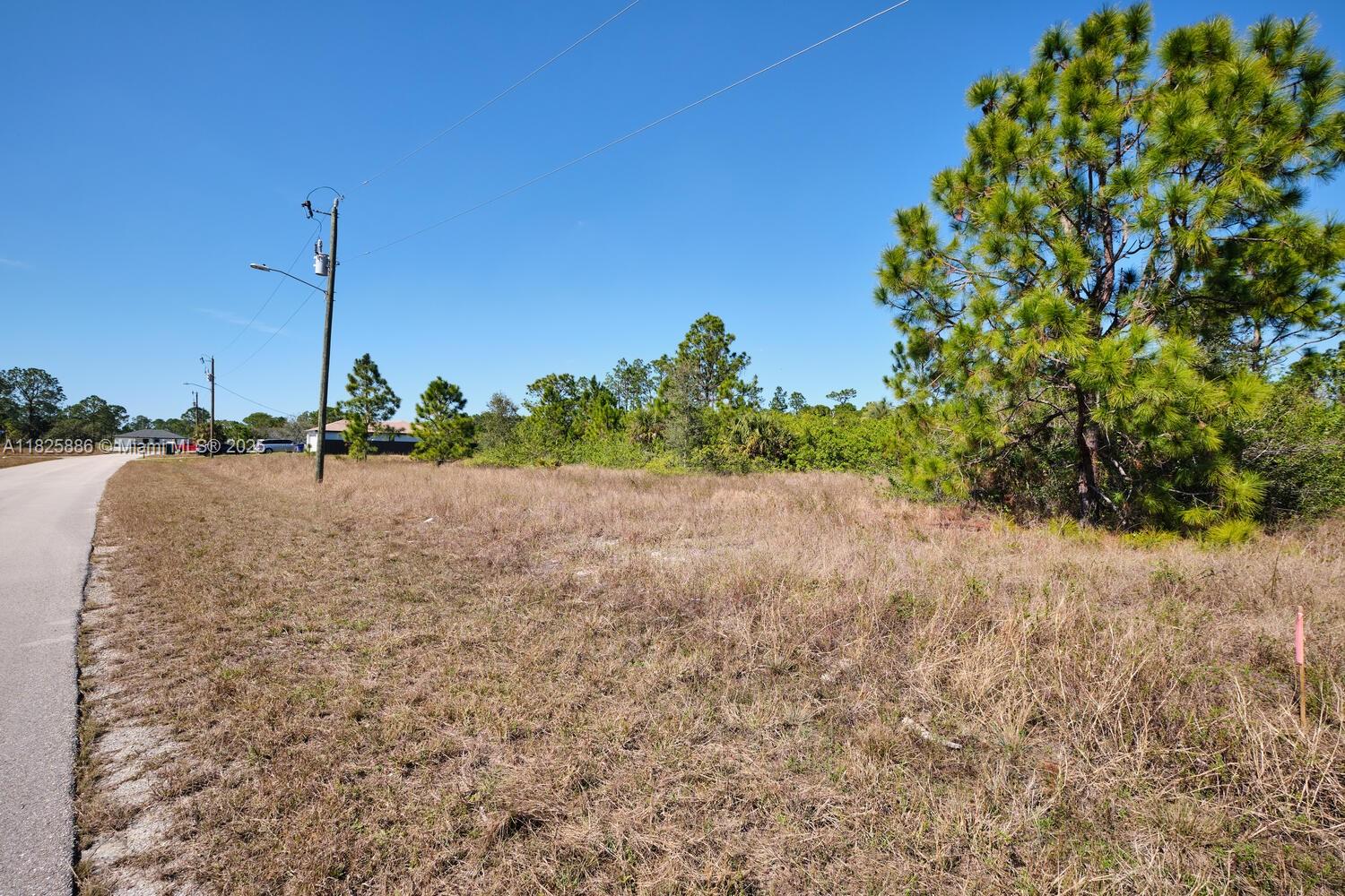 1025 E Winters Street Property Photo 11
