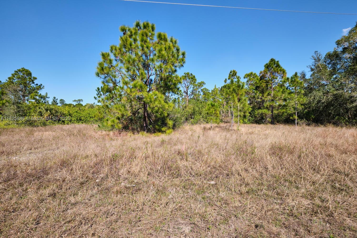 1025 E Winters Street Property Photo 18
