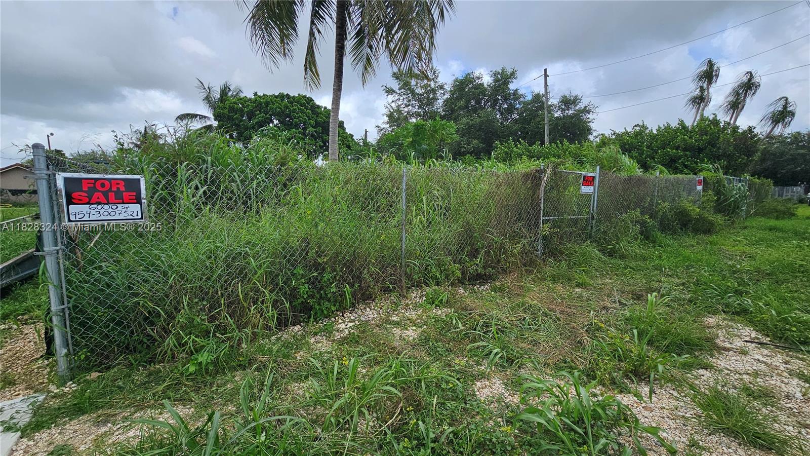 195 355 Property Photo 15