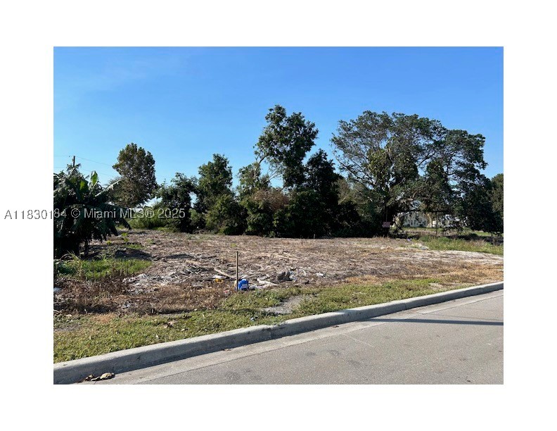 875 Joe Louis Ave Property Photo 1