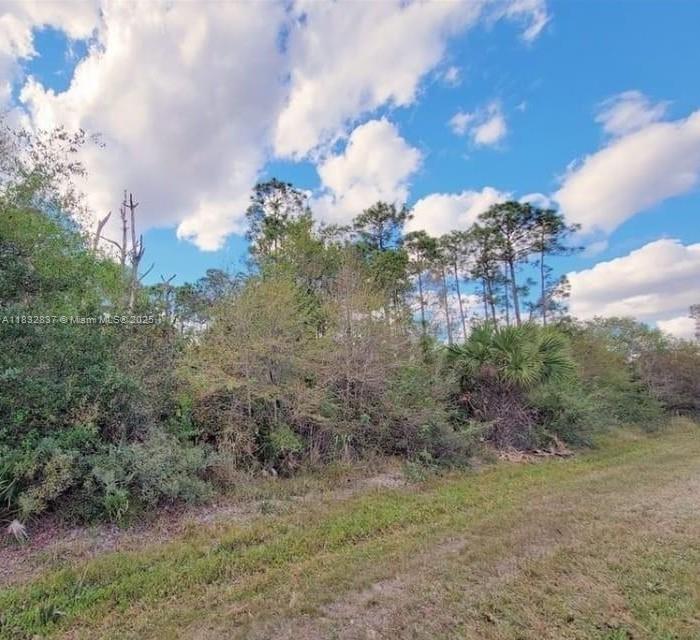 305 Yeehaw Ave Property Photo 1