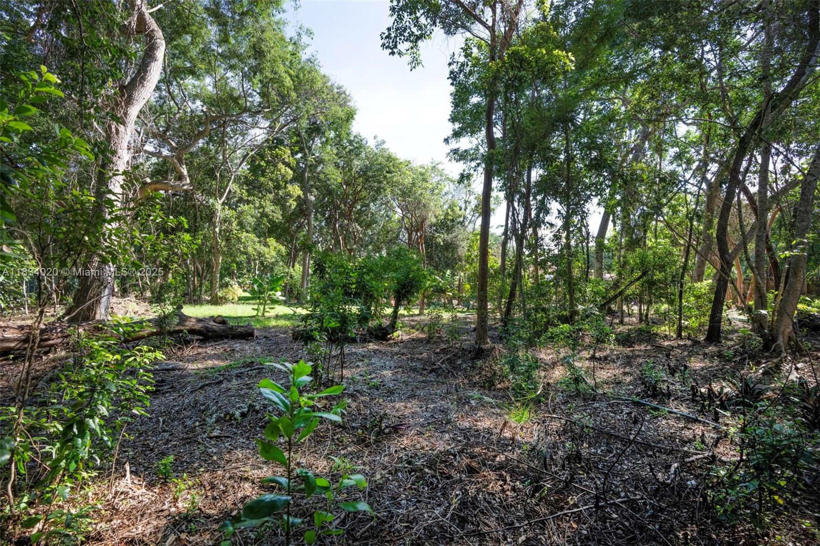 17150 Sw 264th St Property Photo 17