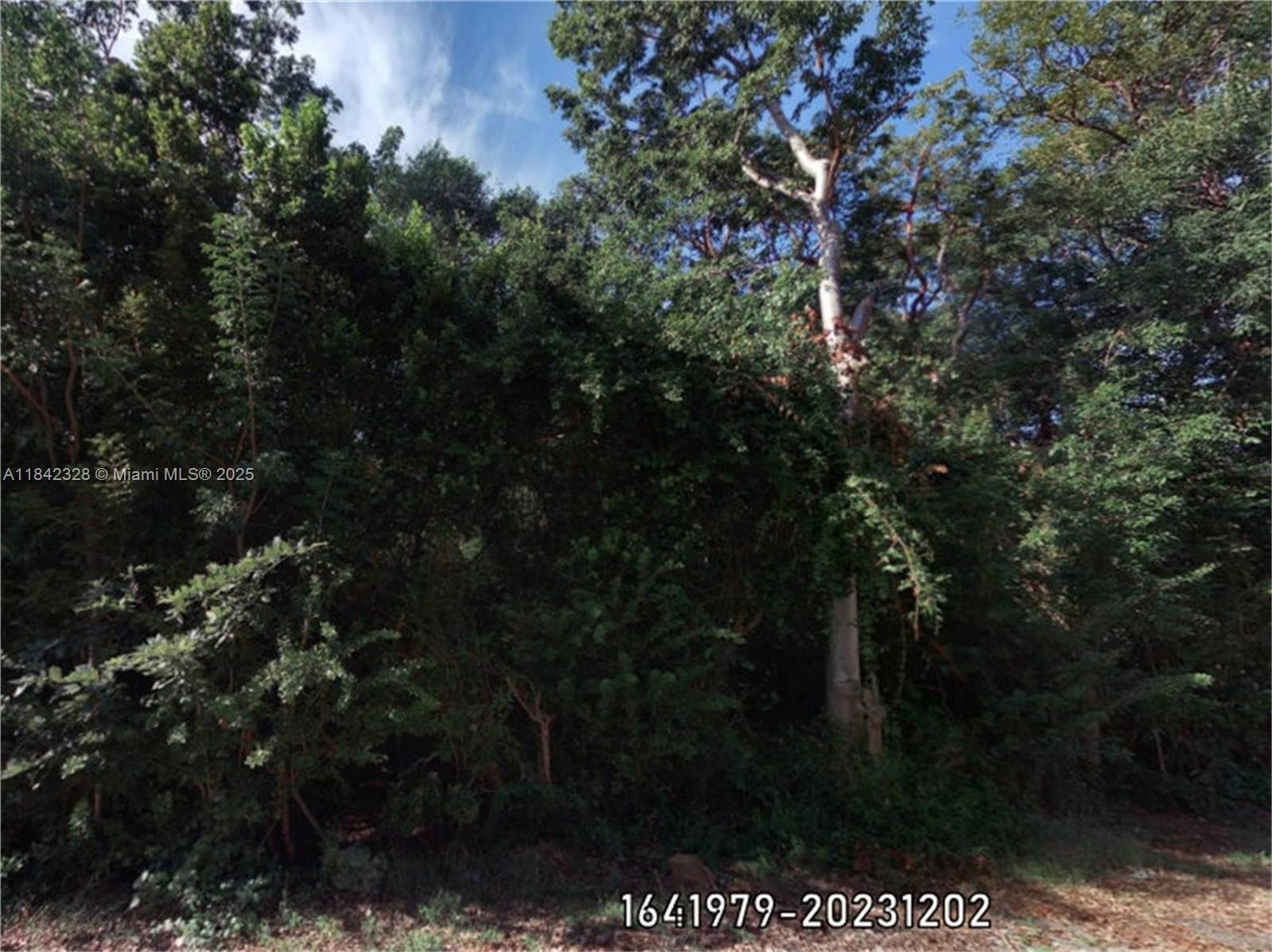 00 Poinsetta Property Photo 1