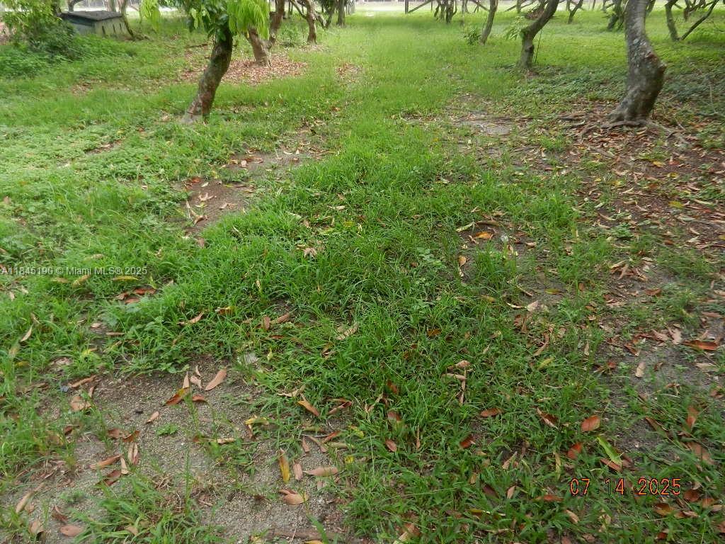 Property Photo 57