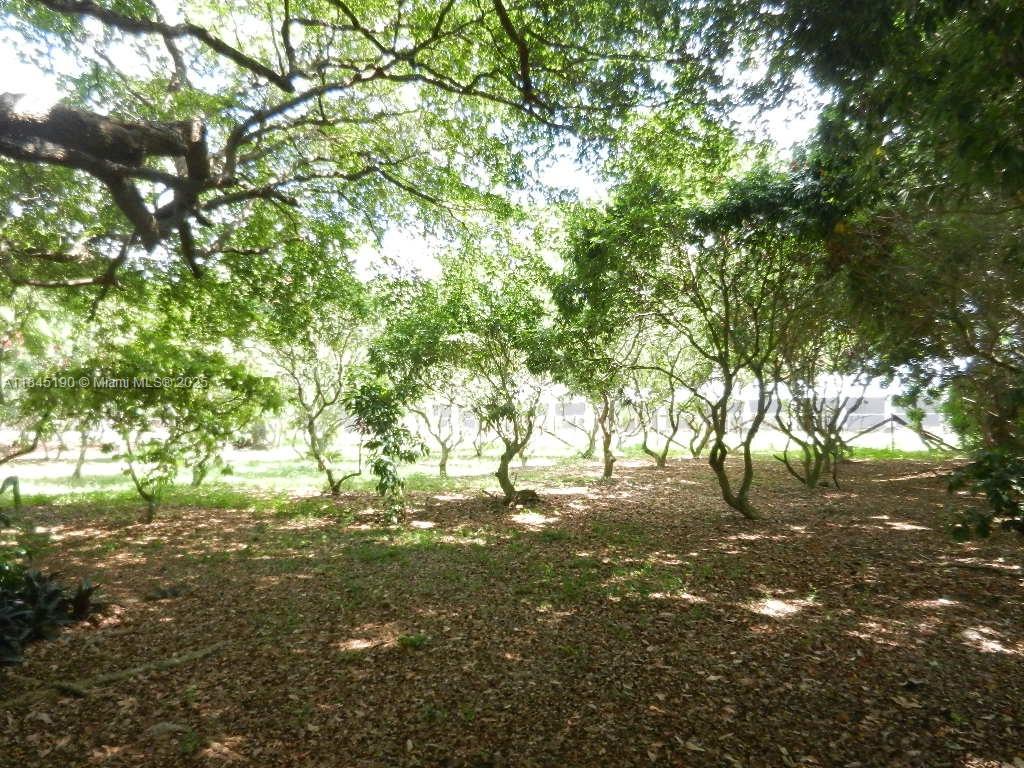 Property Photo 58