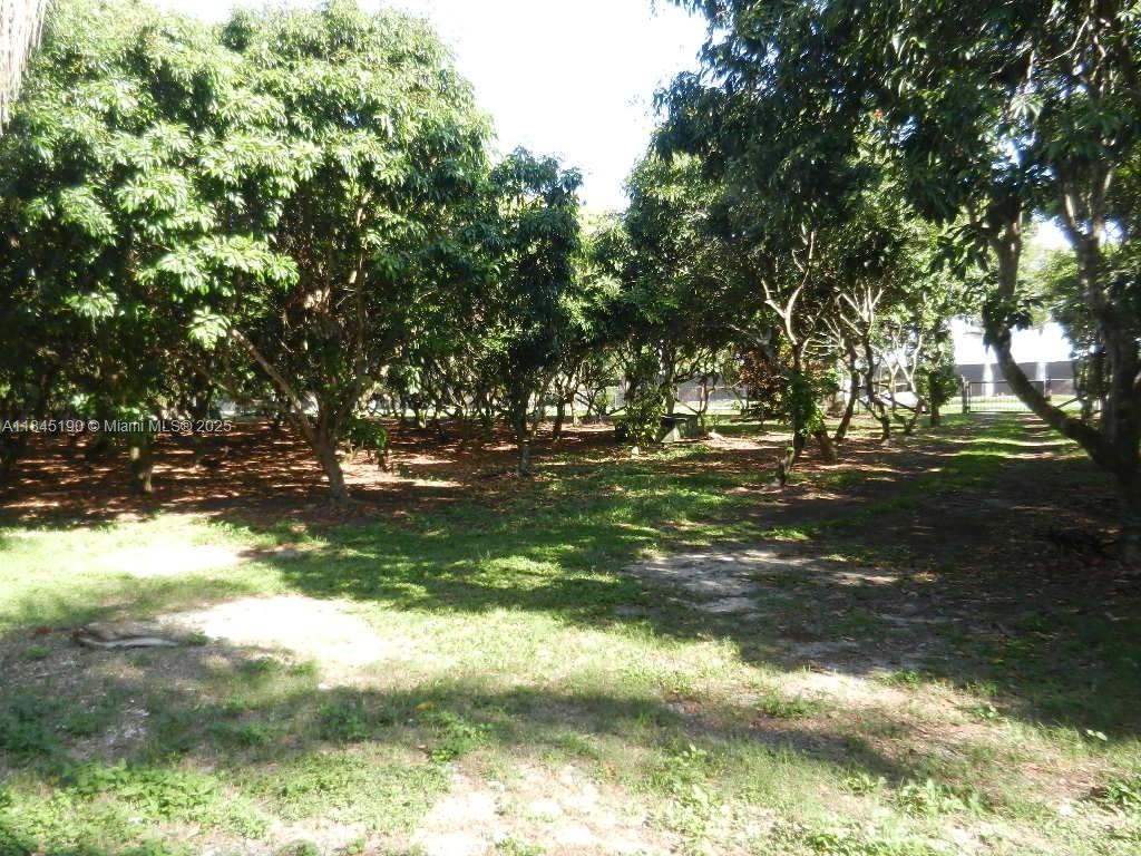 Property Photo 60