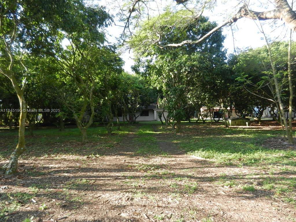 Property Photo 62